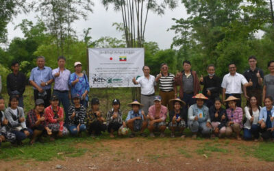 MRBEA and ACL Partner with The Green Donation of Japan for Bamboo Reforestation Project in Myanmar
